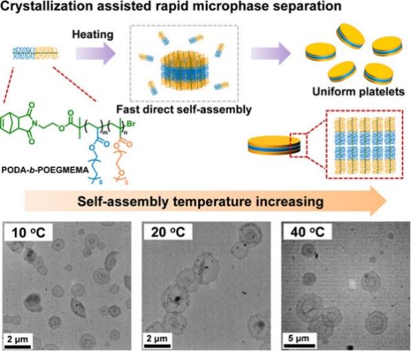 我校程博聞教授團(tuán)隊(duì)在化學(xué)領(lǐng)域國(guó)際頂級(jí)期刊《J...